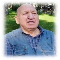Ion Holban
